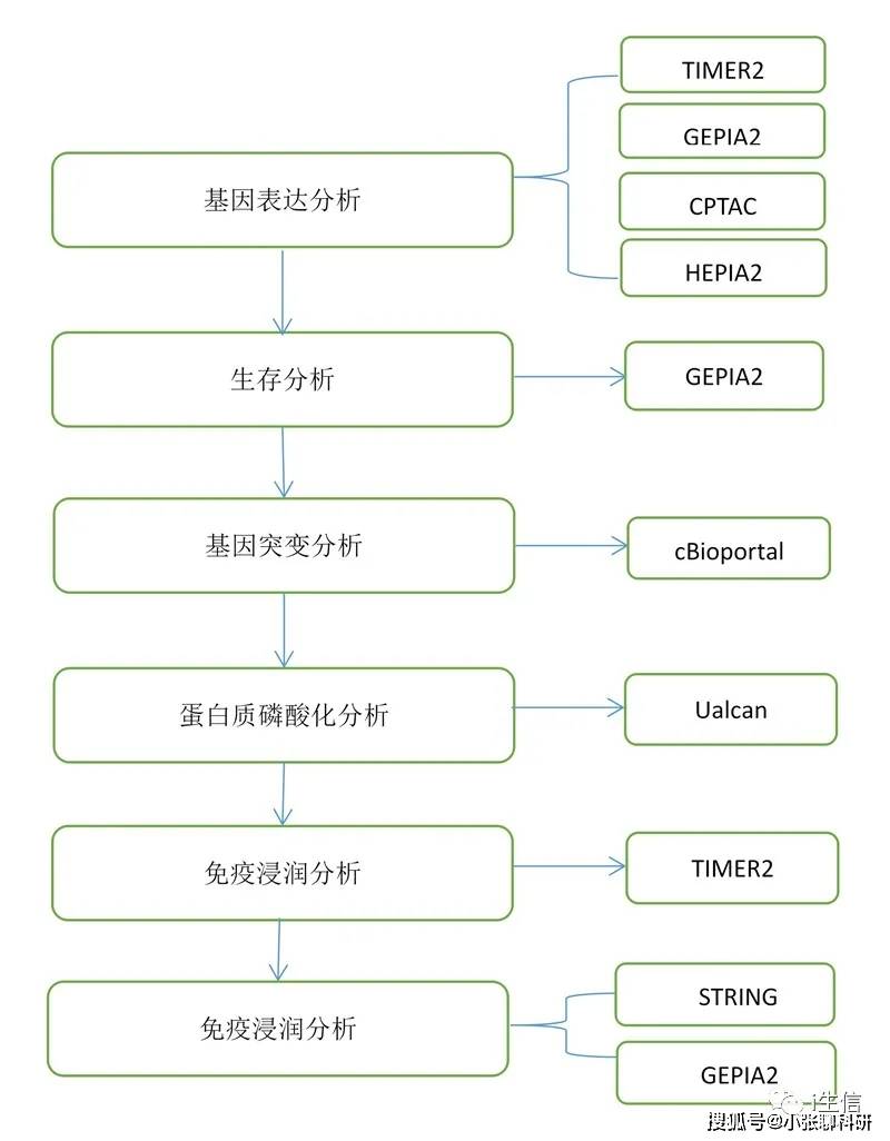 新奥门免费公开资料,前沿分析解析_Deluxe86.195