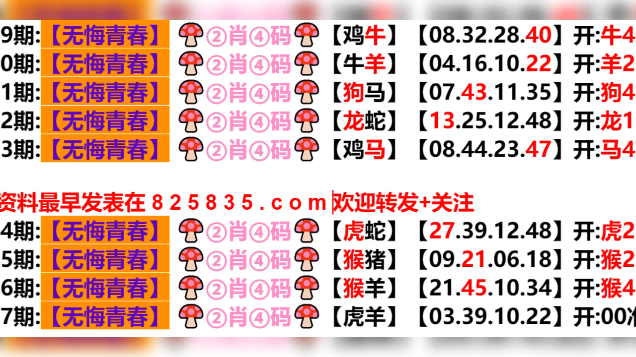 2024新澳门天天开好彩大全孔的五伏,灵活执行策略_精英版201.124