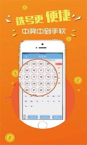 澳门一肖—码精准100王中王,高效计划实施解析_VR98.260