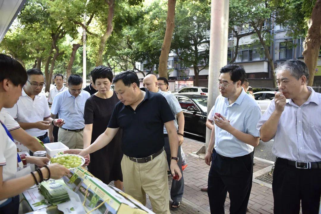 福建孙健展现新风采，持续引领最新动态